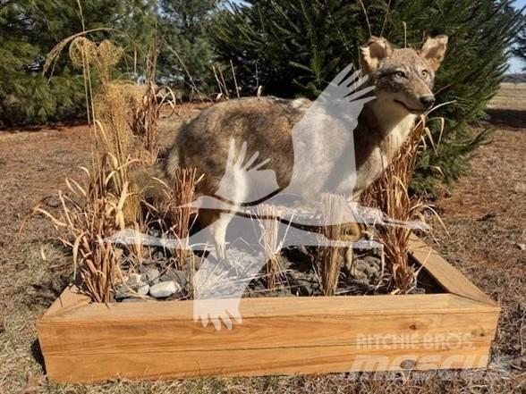 Coyote  Construction - Others