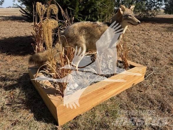 Coyote  Construction - Others