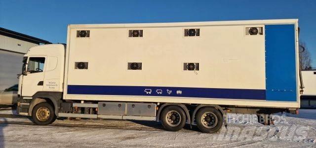 Scania R450 Animal transport trucks