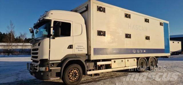 Scania R450 Animal transport trucks