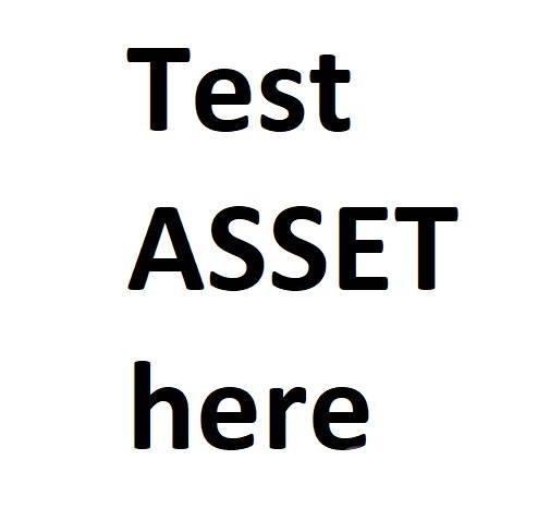  test B Wheel loaders