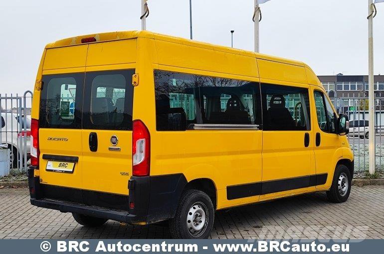 Fiat Ducato Mini buses