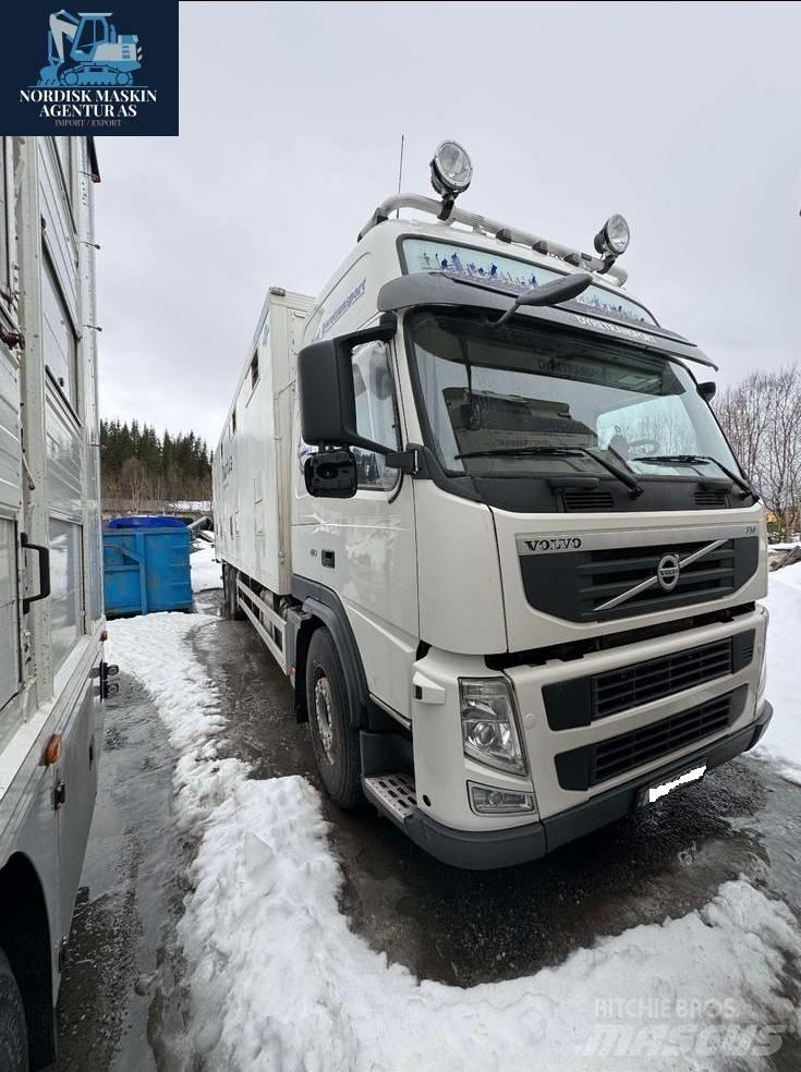 Volvo FM 410 Animal transport trucks