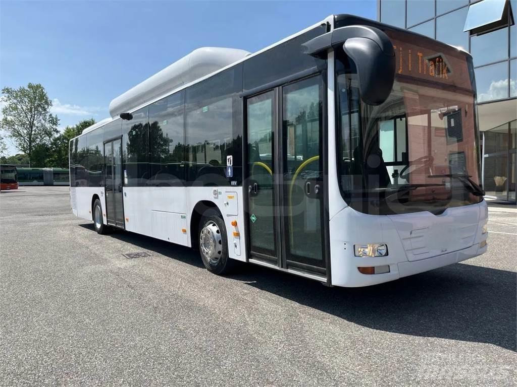MAN A21 City buses