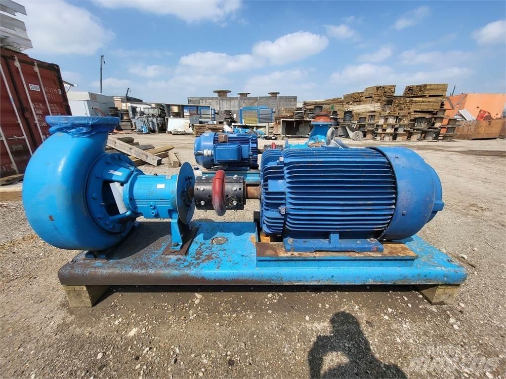  GOULDS 3196 Waterpumps