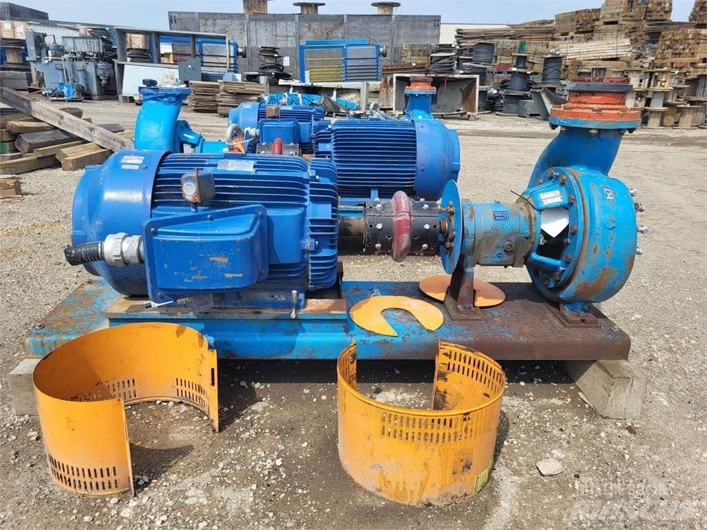  GOULDS 3196 Waterpumps