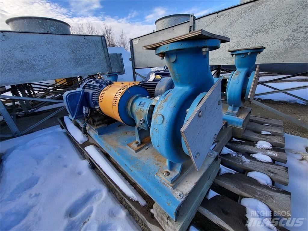  GOULDS 3196 Waterpumps