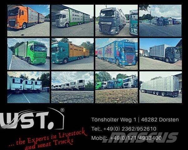 Kässbohrer  Curtainsider trailers