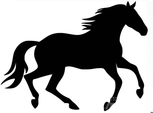  Bay Filly Construction - Others