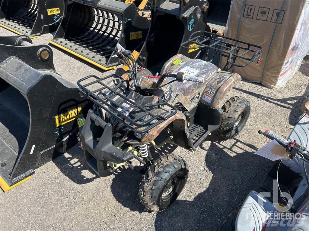  TAO MOTOR D125 ATVs