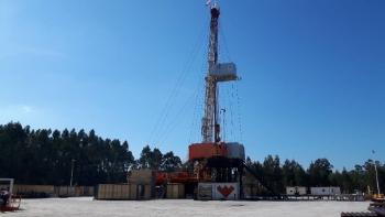 Crown DUKE 1000SD - T 20