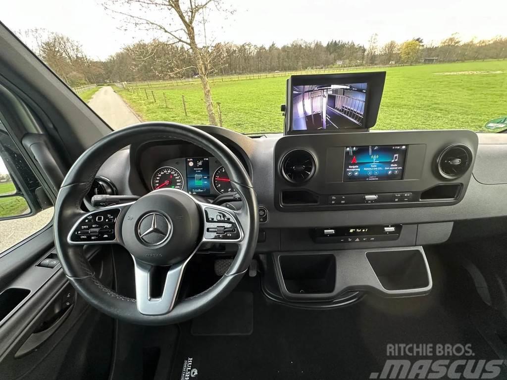 Mercedes-Benz Sprinter AMG 2-paards paardenvrachtwagen B-rijbewi Animal transport trucks