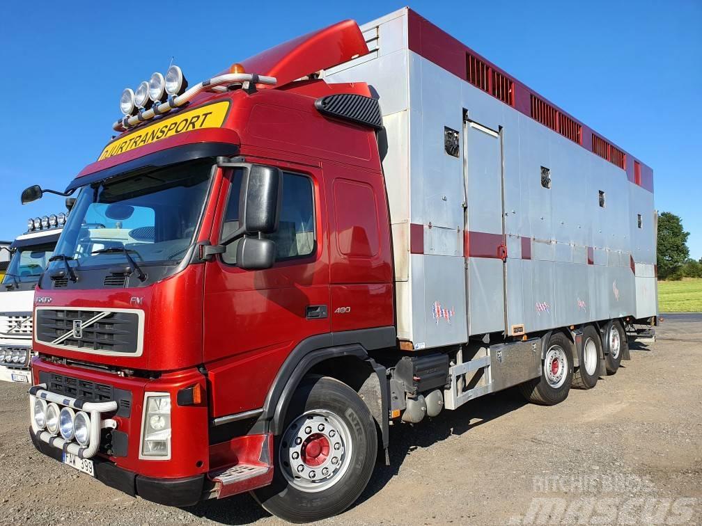 Volvo FM12 Animal transport trucks