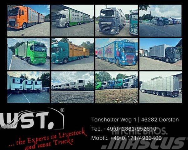 Menke-Janzen Menke Tandem 3,5 to Vollalu &quot; Ne Animal transport trailers